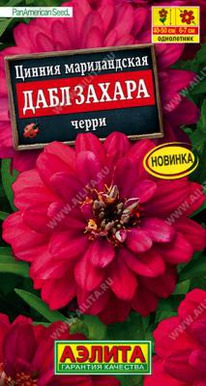 ���� ������ ����� ������ 5��