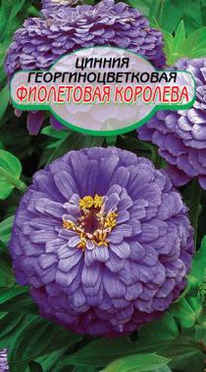 ������ ���������� ��������  �/�