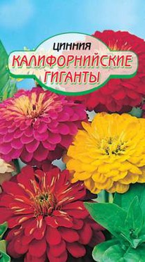 ������ �������������� ������� �/�