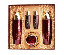 Daandan Bit     premium hanbang scin care 3 set
