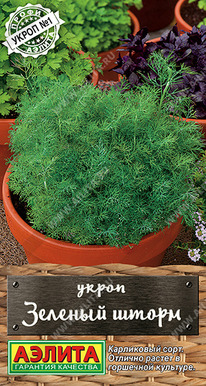 ������� ����� �����