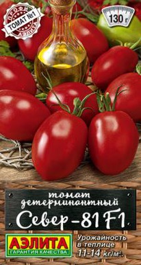 �����-81 F1 �����