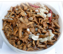 ������� ������ ������� (�����, ������ �� 4��)