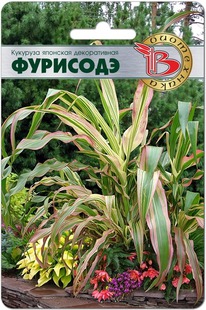 �������� �������� ������������ ��������