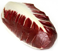 ������ �������� ������ : 5�� Enza Zaden