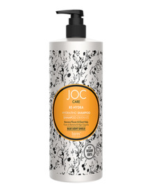 ������ ������� ����������� � ������� ������ � ���������� ���������� / JOC CARE R