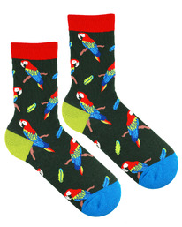 ����� �.35-40 