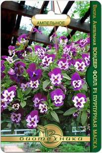 ����� ��������� ������ ���� F1 ��������� �����