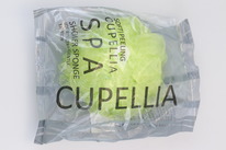 Cupellia SPA  