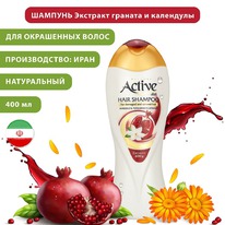 ACTIVE ������� ��� ���������� ����� � ���������� ������� � ��������� (����)