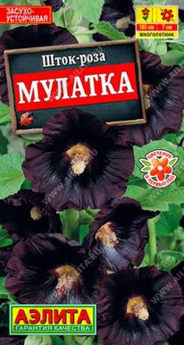 ������� ����-����