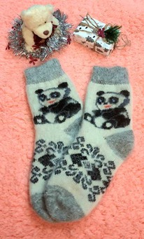 ������ ���������