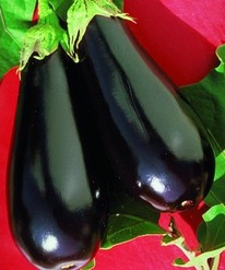 ������ ��������� ���� F1 : 5�� Seminis