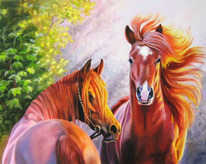 �������� ������� �������� �������� 40x50 /ZM-2724 ���������� (���. ��������� �.)