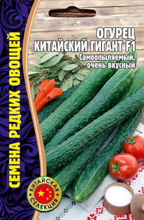 ������ ��������� ������ F1