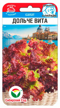 ����� ������ ���� ��������