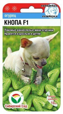 ������ ����� F1