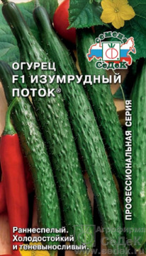 ������ ���������� ����� F1