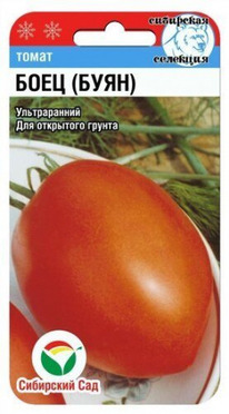 ����� ���� (����)