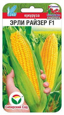 �������� ���� ������