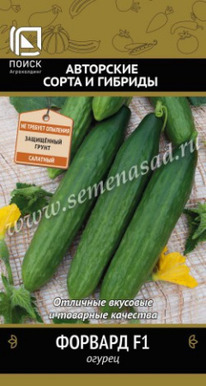 ������ ������� F1