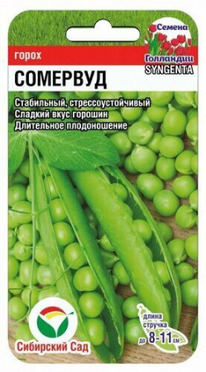 ����� ��������