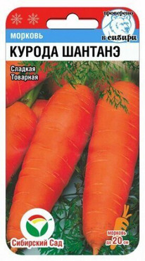 ������� ������ �������