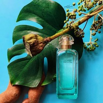 Hermes Un Jardin Sur Le Nil ������ 35% �� 28.02.