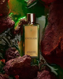 Marc-Antoine Barrois Encelade  25%  31.05