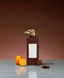 TRUSSARDI Via Fiori Chiari  25%  31.05