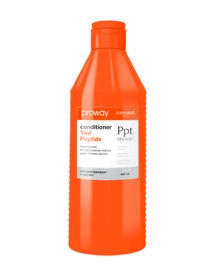 CONCEPT ProWay �����������-����� , ���������, ��� ������  �����, 400 �� (9540)