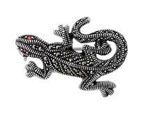 �����, ��������, SL-AGA727