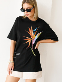 Vilatte          D49.978 