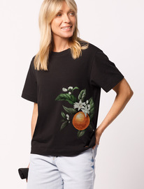 Vilatte         D49.019 