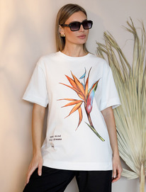 Vilatte          D49.978 