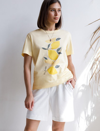 Vilatte        D49.071 _lem