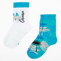 ����� ������� �������� �� 2� ��� ������ (23-25 ��)