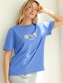 Vilatte        D49.098 _