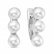 ������ � ���.�������� ������������ ������� 925*