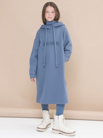 Pelican    GFDR4294 -