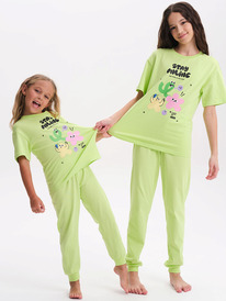 Pelican    WFATP3369 