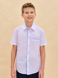 Pelican     BWCT7122 