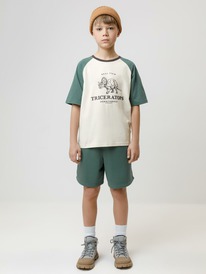 Crockid     400862/- 5611 608