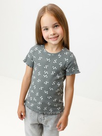 Crockid  ()    302814/ ,  585