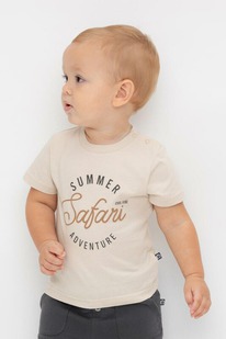   23.12  Crockid  () /   302704/ 542