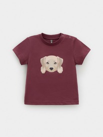   23.12  Crockid  () /   302907/ 1614 6