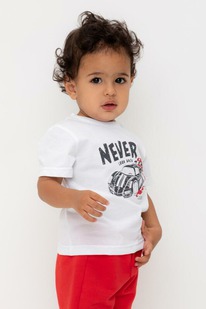   23.12  Crockid  () /   302719/ 548