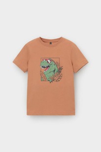   23.12  Crockid  ()    302701-1/  