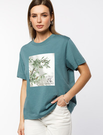   Vilatte        D49.071 