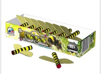 �������� ���������  �����